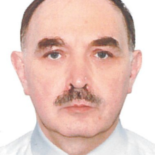 Yury Brilev